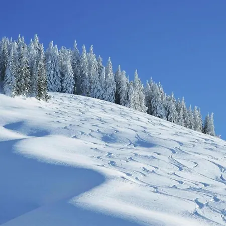 Domek alpejski In Saalbach-Hinterglemm